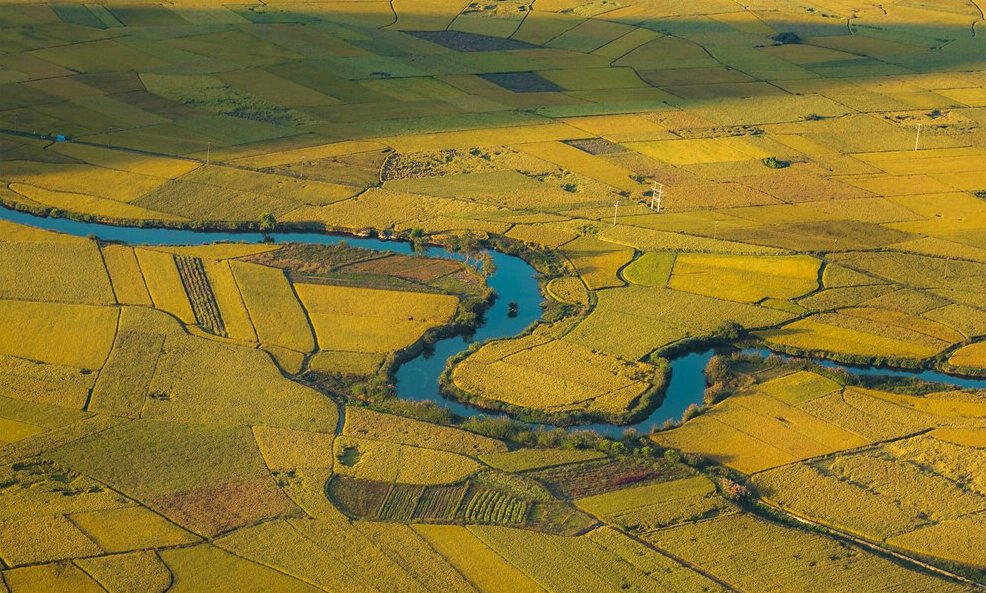Rizières dorées et rivière sinueuse dans la vallée de Bac Son.