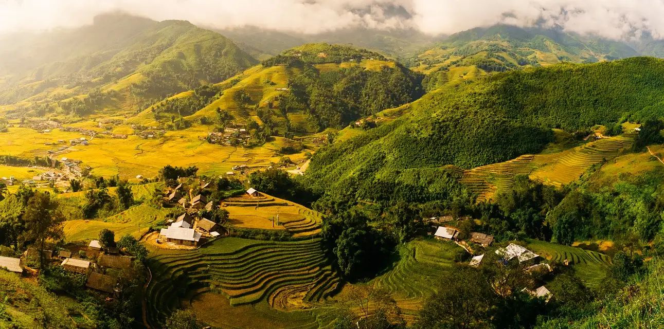 Rizières en terrasses de Lao Chai dans la vallée de Muong Hoa à Sapa