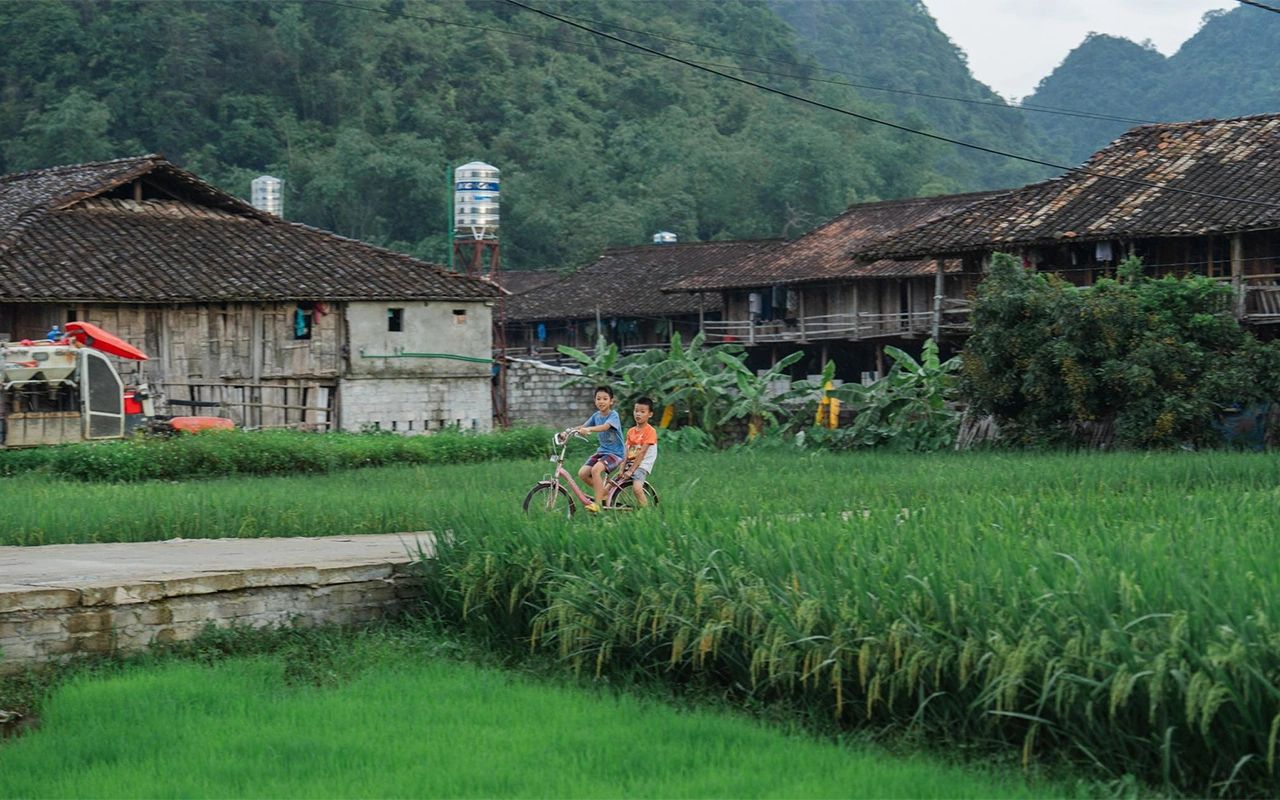 Rizières et maisons traditionnelles autour du village de Quynh Son.